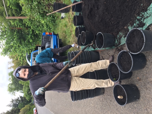 gardening