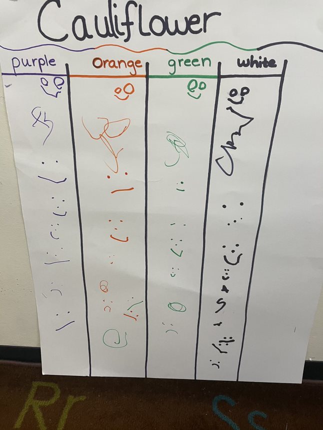 village-califlower-vote