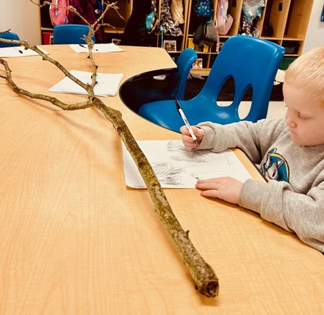 tree-science